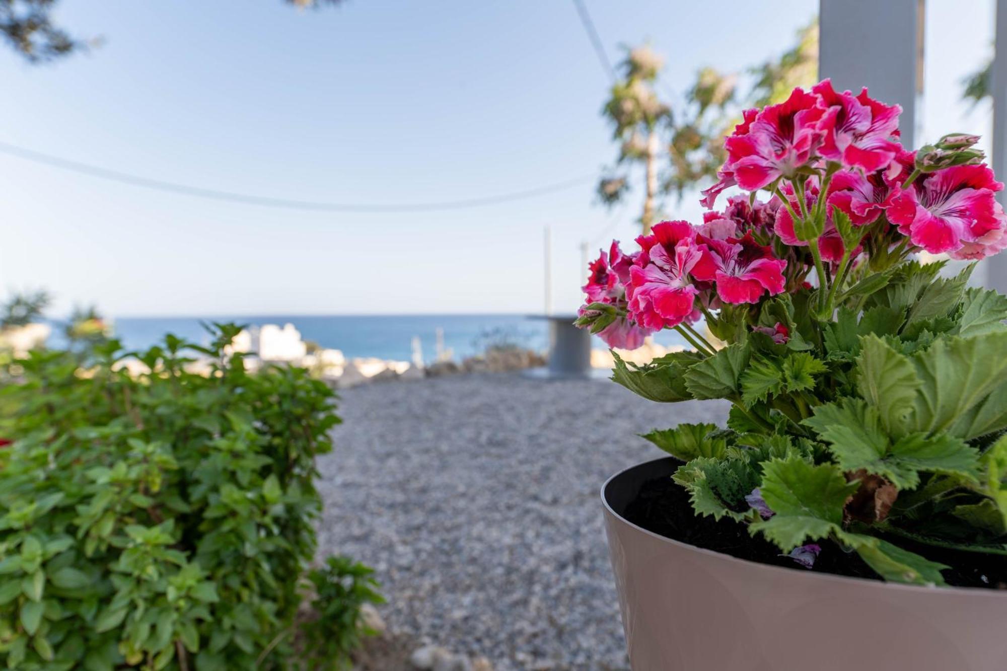 Villa Aegean Sunrise View Archangelos  Exterior foto